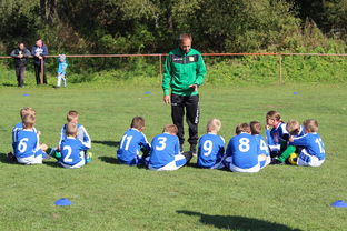 开云体育app-德甲球队战术模拟平台辅助比赛策略调整的应用研究，德甲游戏