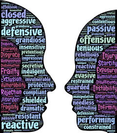 开云体育-大学生运动行为与自我效能感的交互关系研究，运动自我效能感量表