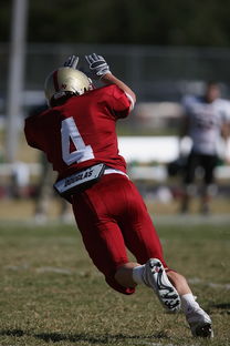 开云体育在线下载-德甲球队视频分析辅助防守站位调整的实证研究，德甲防守最好的球队