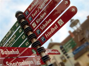 开云在线登入-高校运动队选拔机制公平性研究，高校运动队选拔机制公平性研究报告